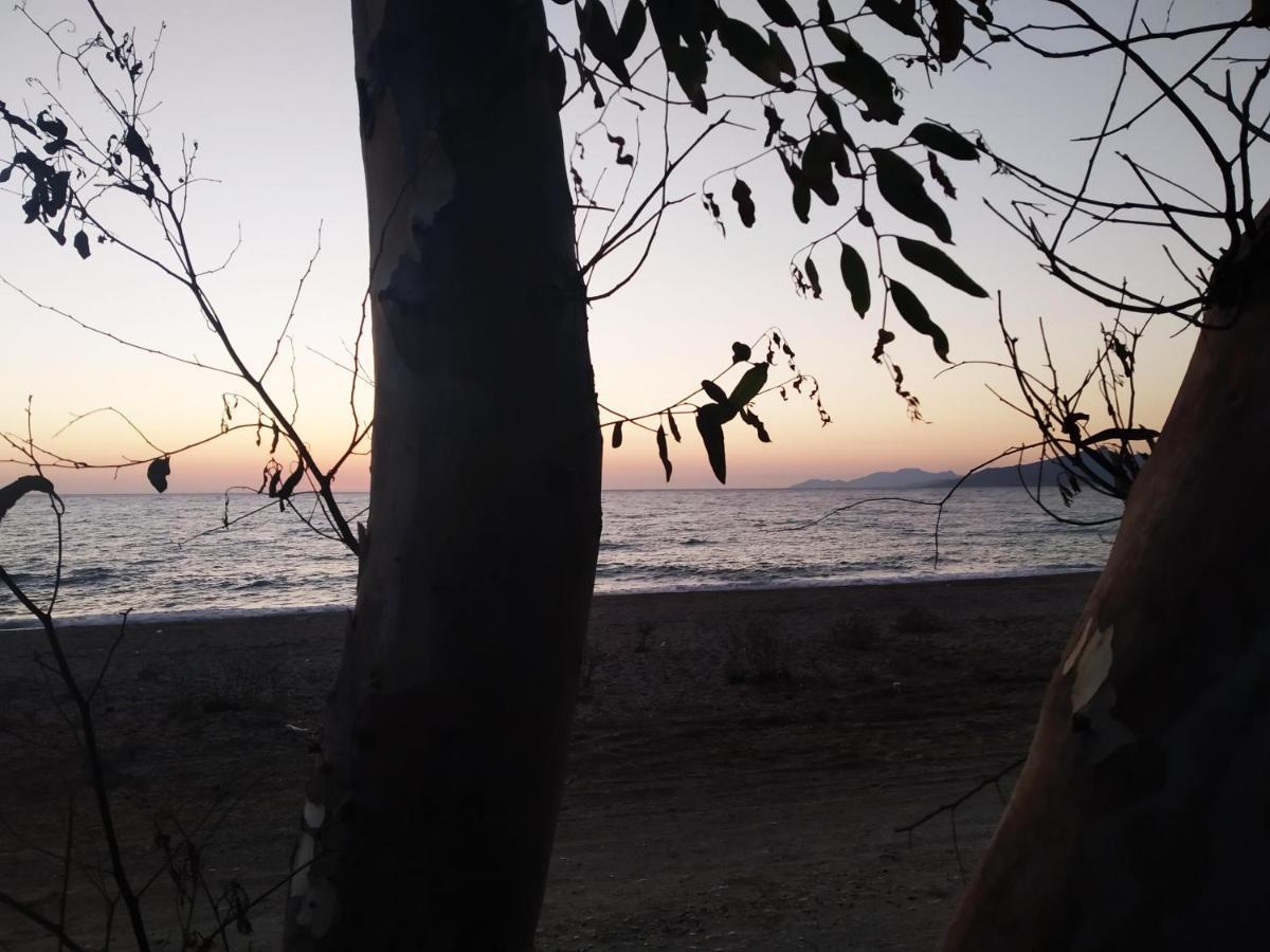 Amalias Place Mytikas  Bagian luar foto