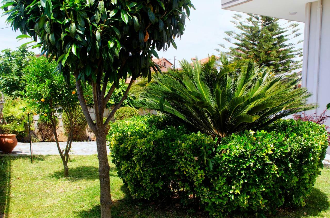 Amalias Place Mytikas  Bagian luar foto