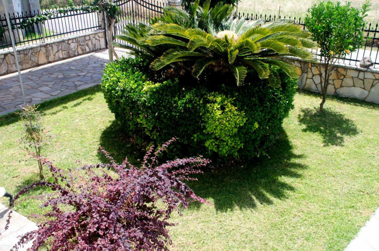 Amalias Place Mytikas  Bagian luar foto